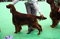 Crufts2011 618